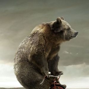 Meet your Posher, Joe